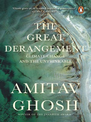 cover image of The Great Derangement